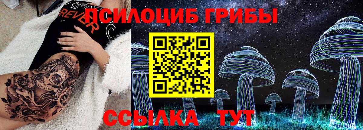 Псилоцибиновые грибы Psilocybine cubensis Бахчисарай